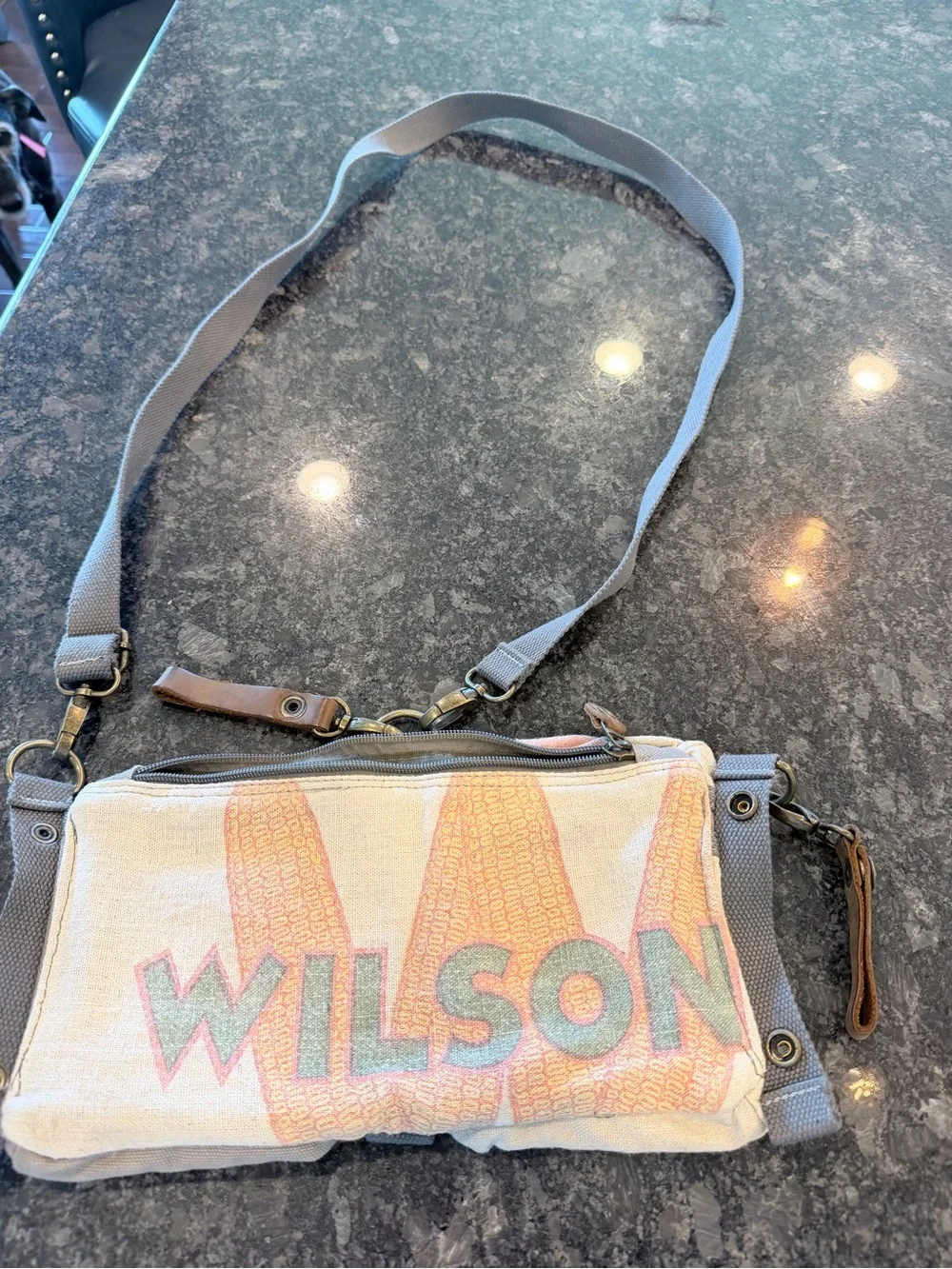 Selina Vaughan canvas Multi-Pocket Crossbody Bag in Light Gray